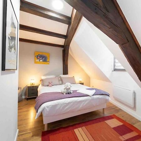 Les Lionceaux, 120M2 A Colmar, Place De Parking Gratuite Exterior photo