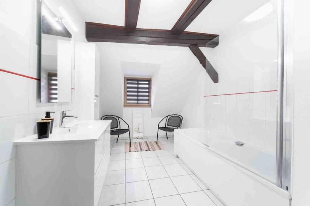 Les Lionceaux, 120M2 A Colmar, Place De Parking Gratuite Exterior photo