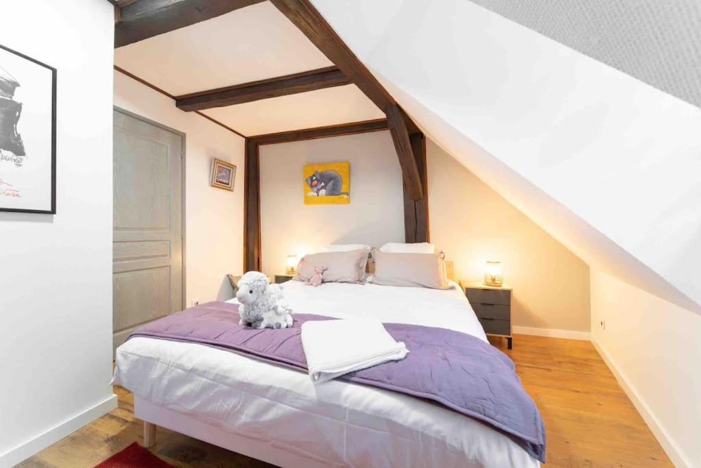 Les Lionceaux, 120M2 A Colmar, Place De Parking Gratuite Exterior photo