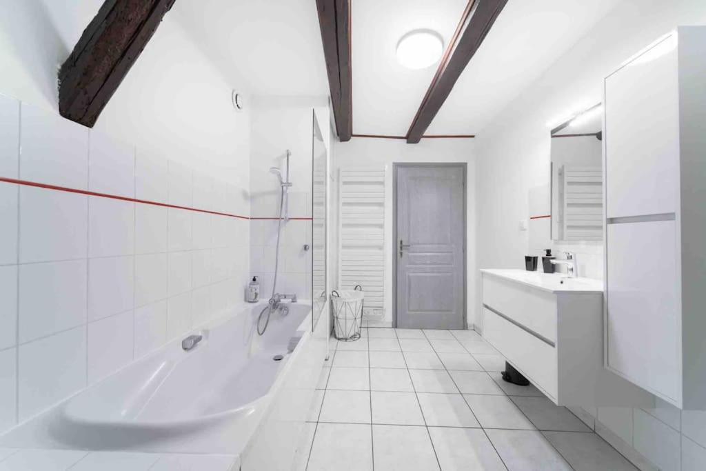 Les Lionceaux, 120M2 A Colmar, Place De Parking Gratuite Exterior photo