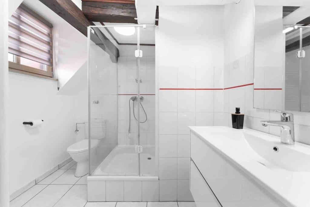 Les Lionceaux, 120M2 A Colmar, Place De Parking Gratuite Exterior photo